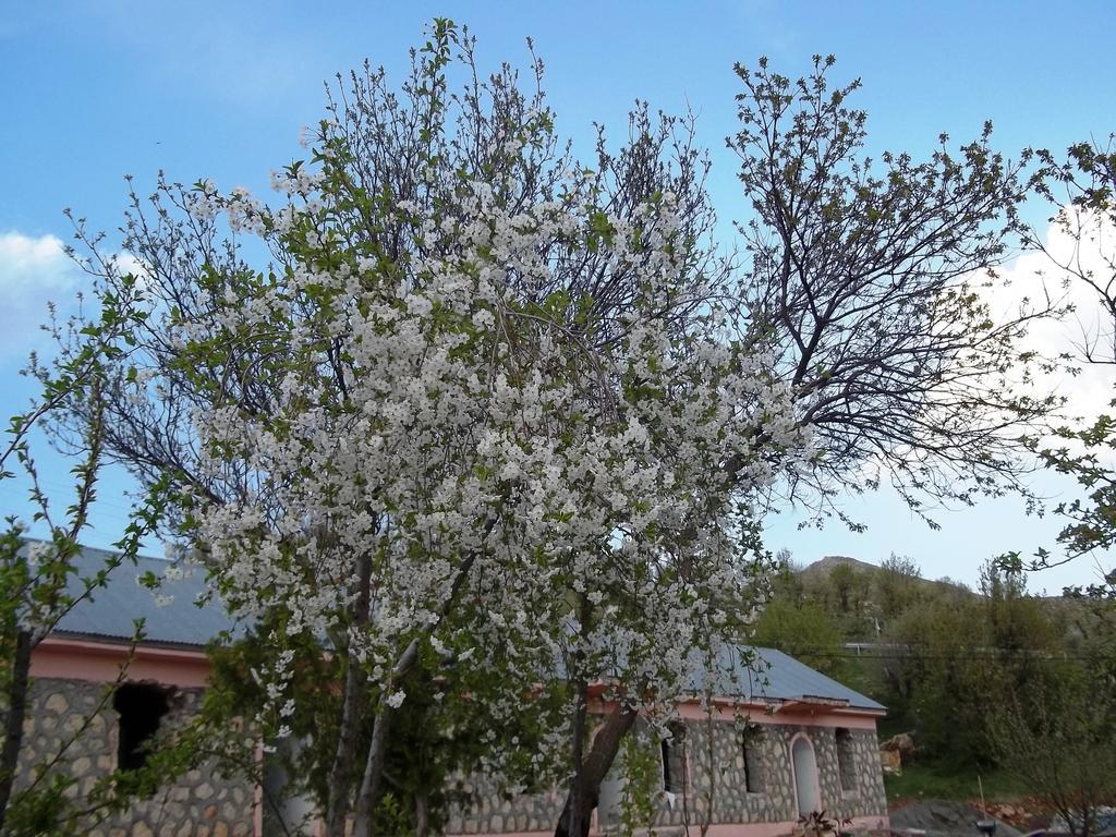 Nemrut Kervansaray Hotel Karadut  Exterior foto